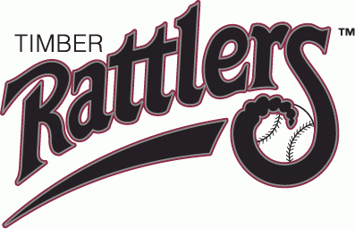 Wisconsin Timber Rattlers 1995-2010 primary logo iron on transfers for clothing